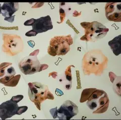犬　わんこ　ポリエステル プリント生地　アニマル　２枚セット　まとめ売り