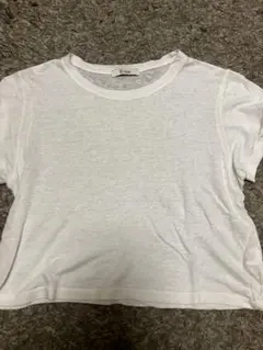 Item thumbnail for item 383c9ebf-b8e1-4d4c-9bf3-fd285a4720a3