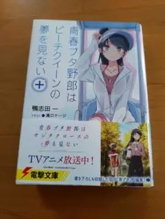 青春ブタ野郎はビーチクイーンの夢を見ない+