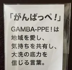 all s様　専用