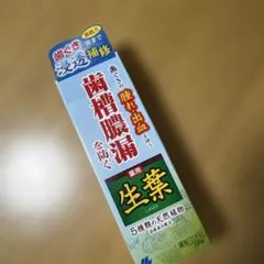 薬用生葉　歯磨き粉 100g