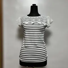 ストライプ レース装飾 半袖トップス