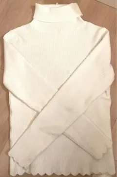 タートル ニット