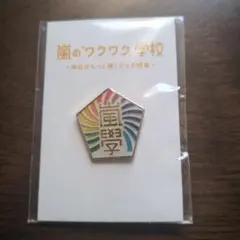 嵐　ワクワク学校　ピンバッジ
