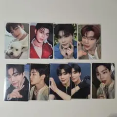 zb1 ゼベワン トレカ まとめ売り ゴヌク