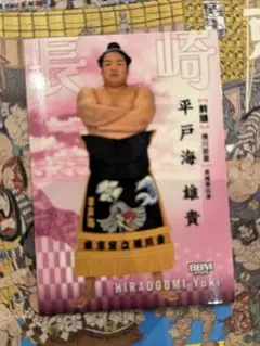 大相撲 BBM 2026 SUMO CARDS 豊昇龍 - メルカリ