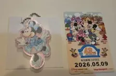 ディズニーシー25周年 ポテトスナックアクリルキーホルダー ミニー