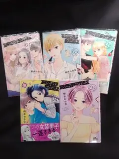 シンデレラクロゼット1巻〜 5巻セット 透明ブックカバー付き 即購入⭕