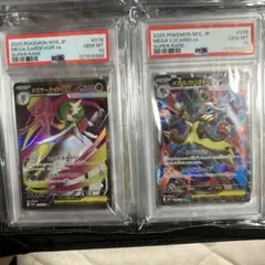 メガルカリオex メガサーナイトex sr psa10 連番