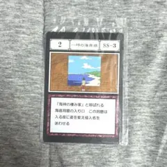 ハンターハンター 一番くじ J賞 グリードアイランド 一坪の海岸線 排除