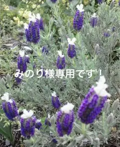 みのり様専用です！SALENo.347 入園、入学3点セット！デニム調(カーキ)