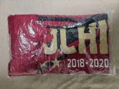 2026年最新】鹿島アントラーズ ニットマフラーの人気アイテム - メルカリ