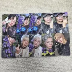 &team backtolife トレカセット