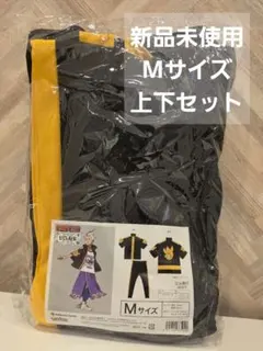 ポケモン カキツバタ オラチフ ジャージ 上下セット M コスプレのサムネイル