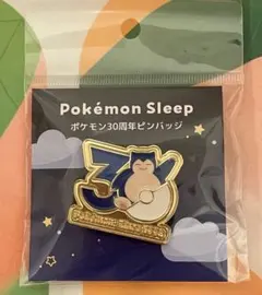 ポケモンセンター ポケ紋 ピンズ コレクション カビゴン ピンバッジ