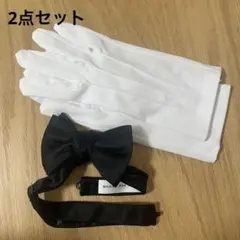 Item thumbnail for item 67af074f-a686-4cf9-b3d5-d016c89bda3e