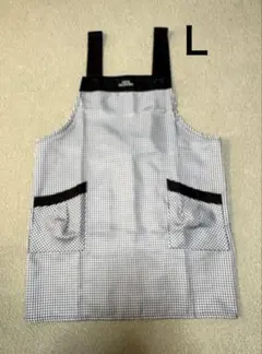 Item thumbnail for item beafc944-d097-4a9e-94ca-8e689ecb99b9