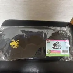 Item thumbnail for item cfa8a5f2-1be1-4864-bde9-ced8c24f1d86