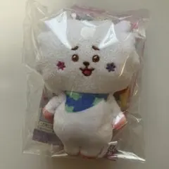 BT21 Fuwa Fuwa Mascot★4 RJ ③