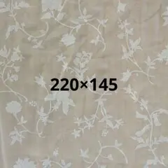 キロニー（東リ）　ホワイト花柄刺繍レース生地カーテン生地　約220×145cm