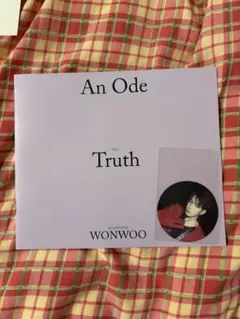 SEVENTEEN ウォヌ　トレカ・付属品セット