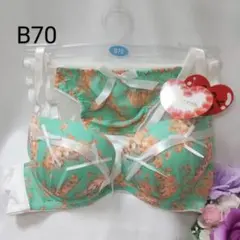 Item thumbnail for item e0264b9e-69fe-4678-871f-431088d32fae