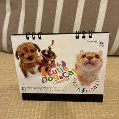 しーちゃん様 リクエスト 2点 まとめ商品