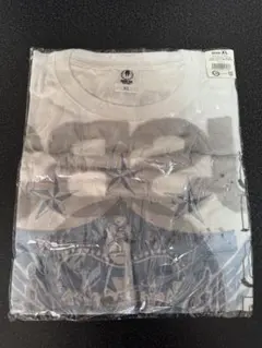 三代目J SOUL BROTHERS カスタムTシャツ RSTW