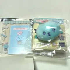 JOCHUM マイク　シークレットブローチ　硬質カードケースセット