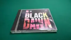 PS1 ブラックドーン　3dヘリコプター　シューティング ブラック・ドーン
