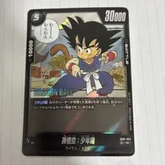 ドラゴンボール 孫悟空・少年期 Rレアカード