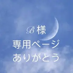 B様専用ページ　87h