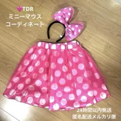 ディズニーリゾート　ミニーマウス　スカート　カチューシャ　ピンク　水玉　ドット