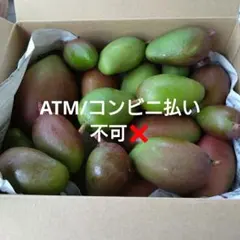 宮崎県産 摘花 グリーン マンゴー 1.2キロ - メルカリ
