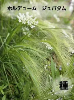 あや様 リクエスト 3点 まとめ商品