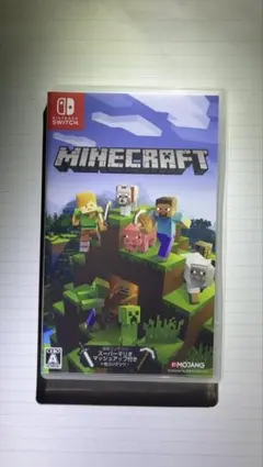 Minecraft Nintendo Switch版
