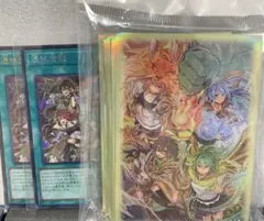 【海外限定】遊戯王 憑依連携 スリーブ 60枚 海外限定】遊戯王 憑依連携 スリーブ 60枚 - メルカリ