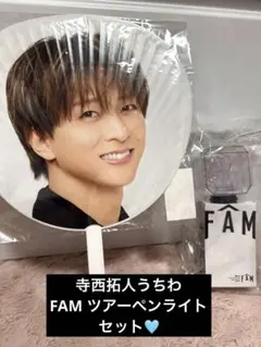 timelesz ペンライト　寺西拓人　ジャンボうちわ　銀テ１本付き　タイムレス