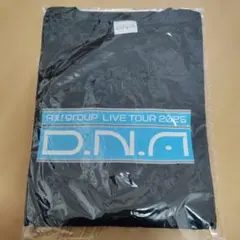 新品未開封　Aぇ!group D.N.A ロングTシャツ DNA グッズ