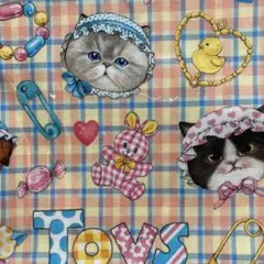 コヤンイサムチョン　パターンシリーズ　ベビーシャワー　Check