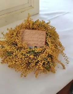 Item thumbnail for item e495e16a-5e7d-475f-85cc-0aa92116dea3