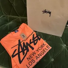 Stüssy ワールドツアー ロゴ ロンT
