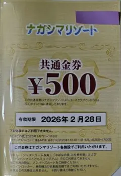 2025年最新】ナガシマスパーランド優待券の人気アイテム - メルカリ