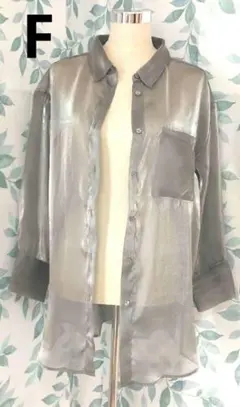 ムルーア シアーシャツ シルバー F レギュラーカラー 通勤 夏コーデ 婦人服のサムネイル