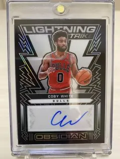 コービー　カード コービー＆レブロンのロゴマンパッチサインが1億6800万円