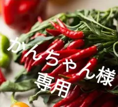 かんちゃん様専用　 ※天鷹唐辛子粉【辛口】<一味>