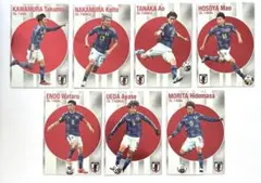 カルビーサッカー日本代表チップス2024 付録カード