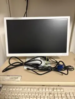 I-O DATA LCD-AD194ESW 18.5インチワイド液晶モニター