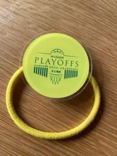 Wリーグ プレイオフ 2024-25 イエローバンドエネオスサンフラワー