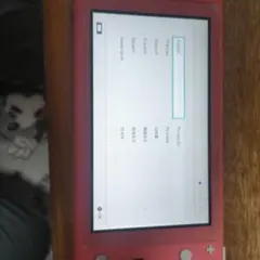 ジャンク品＊Nintendo Switch Lite コーラル - メルカリ